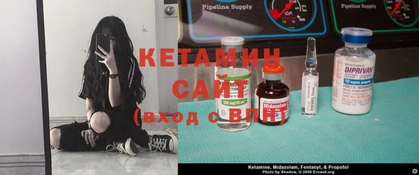 прущие грибы Пересвет
