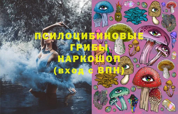прущие грибы Пересвет