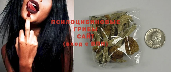 хмурый Арсеньев