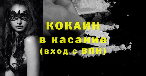 хмурый Арсеньев