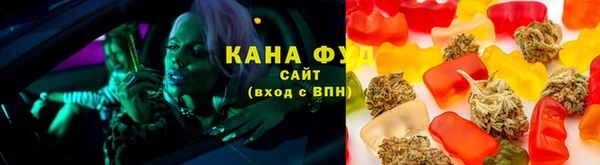 хмурый Арсеньев