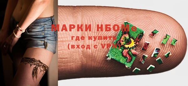 хмурый Арсеньев