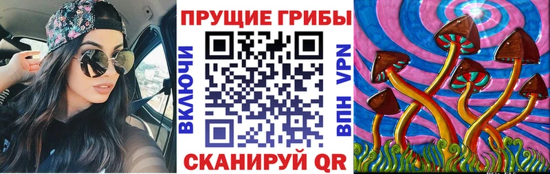 цены   Судак  Псилоцибиновые грибы мухоморы 